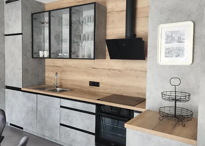 Ii Mlyny Gdanskie Blisko Centrum 格但斯克