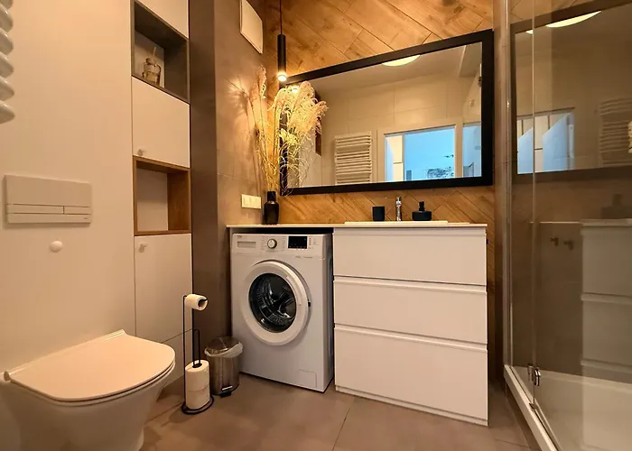 公寓 Ii Mlyny Gdanskie Blisko Centrum 格但斯克